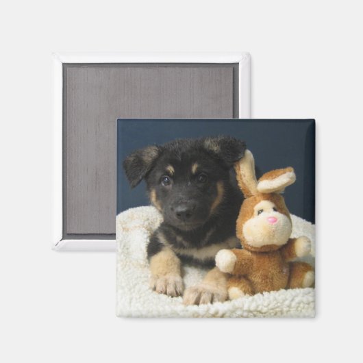 Suzy Q Magneet (Voorkant / Achterkant)