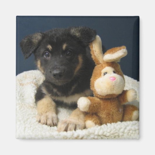 Suzy Q Magneet (Voorkant)