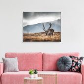 Svalbard Reindeer Natuur Foto Canvas Afdruk (Insitu (Woonkamer))