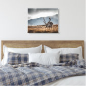 Svalbard Reindeer Natuur Foto Canvas Afdruk (Insitu (Slaapkamer))