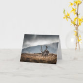 Svalbard Reindeer Natuur Foto Kaart (Gele Bloem)