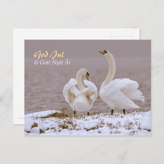 Svanpar i nysnö CC0804 Julhälsning Briefkaart (Voorkant / Achterkant)