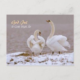 Svanpar i nysnö CC0804 Julhälsning Briefkaart