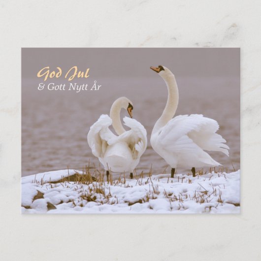 Svanpar i nysnö CC0804 Julhälsning Briefkaart (Voorkant)