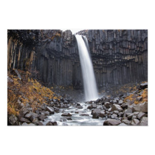 Svartifoss waterfall in IJsland fotoprint Foto Afdruk