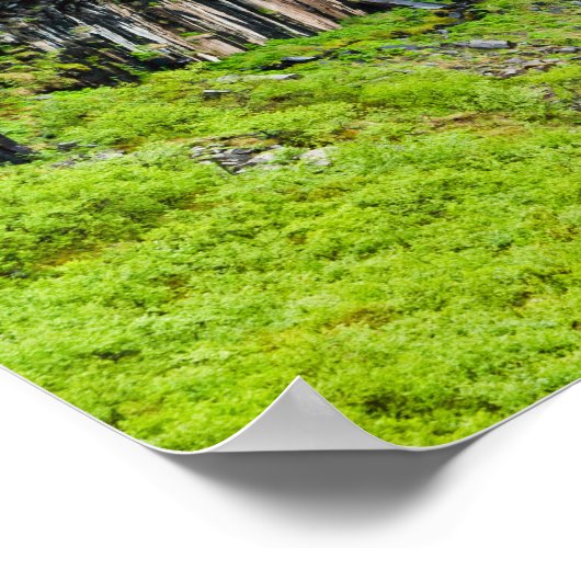 Svartifoss Waterfall in Skaftafell - IJsland Poster (Hoek)