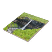 Svartifoss Waterfall in Skaftafell - IJsland Tegeltje (Zijkant)