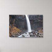 Svartifoss waterval in IJsland canvas print (Voorkant)