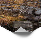 Svartifoss waterval in IJsland poster (Hoek)