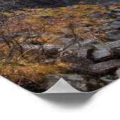 Svartifoss waterval in IJsland poster (Hoek)