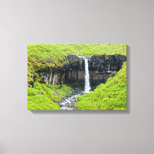 Svartifoss-waterval in Skaftafell - IJsland Canvas Afdruk
