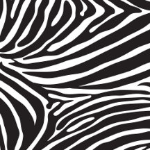 Zebra Prints