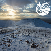 Welsh Tapestry Patterns For Christmas