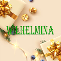 Wilhelmina Name T-Shirt