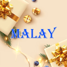 Malay_Name T-Shirt