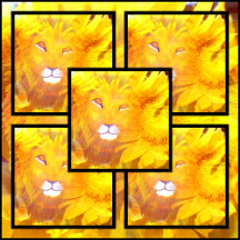 HOME COLLECTION DESIGN BY PAULA REILLY.