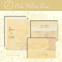 Pale Yellow Rose Greeting Cards