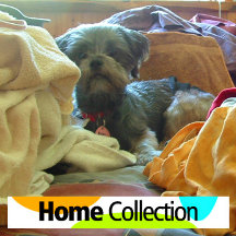 for HOMES touched by DOG LOVE!