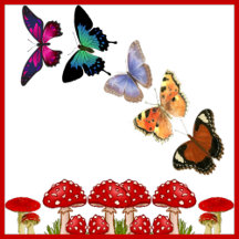 Butterfly Arts & Craft Supplies
