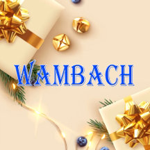 Wambach_Name T-Shirt