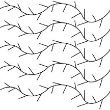 Black and White Thorn Pattern