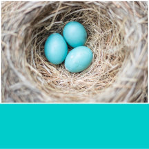Robin Egg Blue Solid Color
