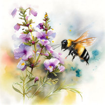 Bee's in Bloom poster collection