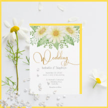 Daisy Floral White Yellow Wildflowers 