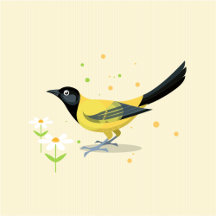 Illustrated coasters