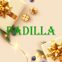 Padilla Name T-Shirt