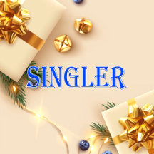 Singler_Name T-Shirt