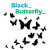 Black_Butterfly_