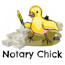 Notary Chick with Feather Quill and Documents