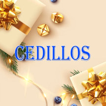 Cedillos_Name T-Shirt