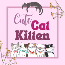 Cute Cat Kitten