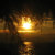goldenvibes