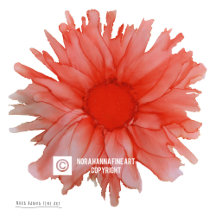 Coral Multi Layered Daisy