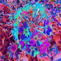 Blooming Abstract Purple and Blue Flower