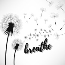 INSPIRATIONAL QUOTES Lifestyle Gifts & Ideas