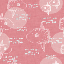 Mola-Mola- Sea Sunfish