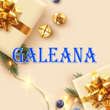 Galeana_Name T-Shirt