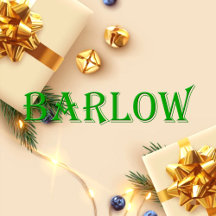Barlow Name T-Shirt