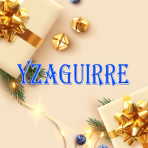 Yzaguirre_Name T-Shirt