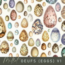 Adolphe Millot Ouefs Eggs Pattern v1