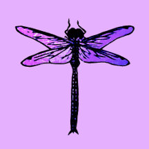 Dragonfly Coordinates