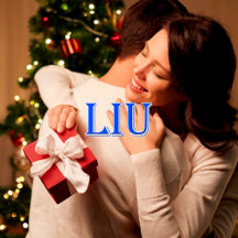 Liu_Name T-Shirt
