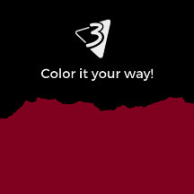 Red and Black Pillows - Living Room