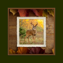 Autumn Buck #1