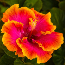 Travel Images of the Hawaiian paradise, Kauai