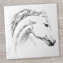 Horses / Equine Art & Design